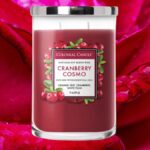 Colonial Candle - Cramberry Cosmo