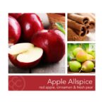 Colonial Candle - Apple Allspice