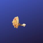 Orecchini Tondi Pietre